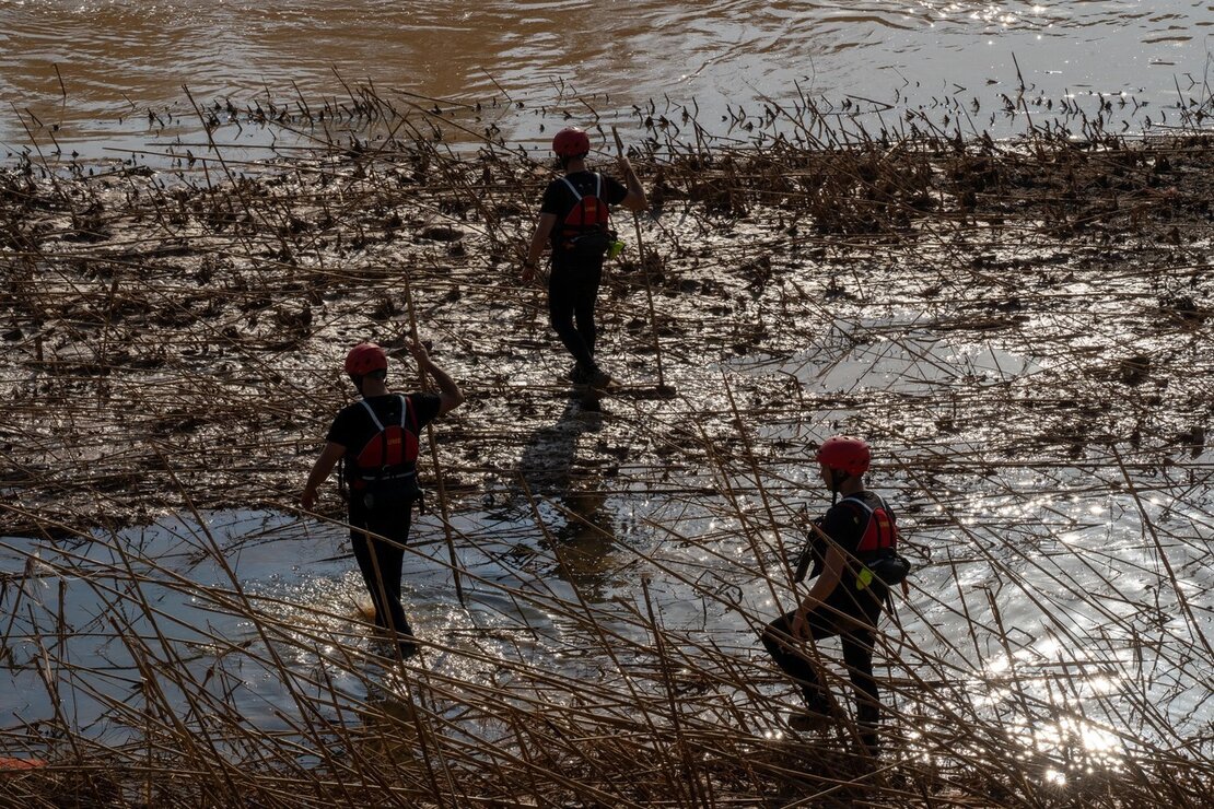 El V batallón de la UME con sede en León, rastrea la Albufera en la localidad de Masanasa en busca de desaparecidos. Fotos: Eduardo Margareto