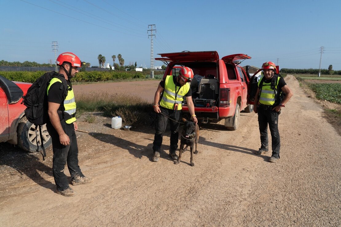 El V batall?n de la UME con sede en Le?n, rastrea la Albufera en la localidad de Masanasa en busca de desaparecidos