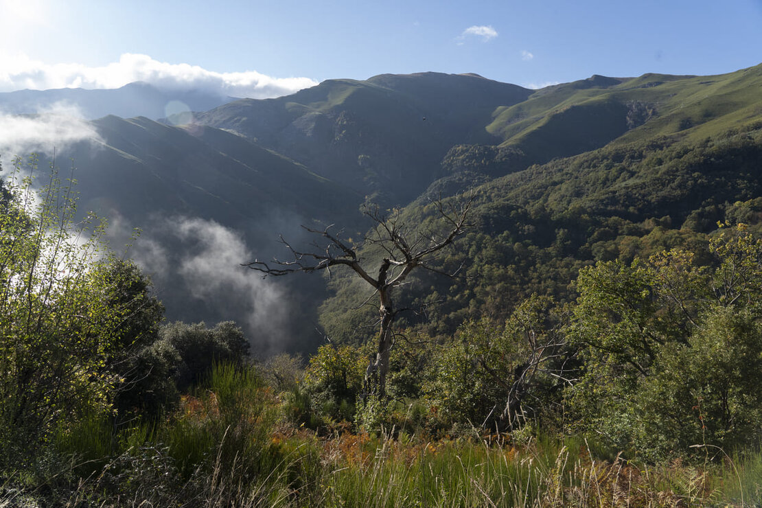 acondicionamiento del Canal CN2, entre Peñalba de Santiago y Las Médulas (12)