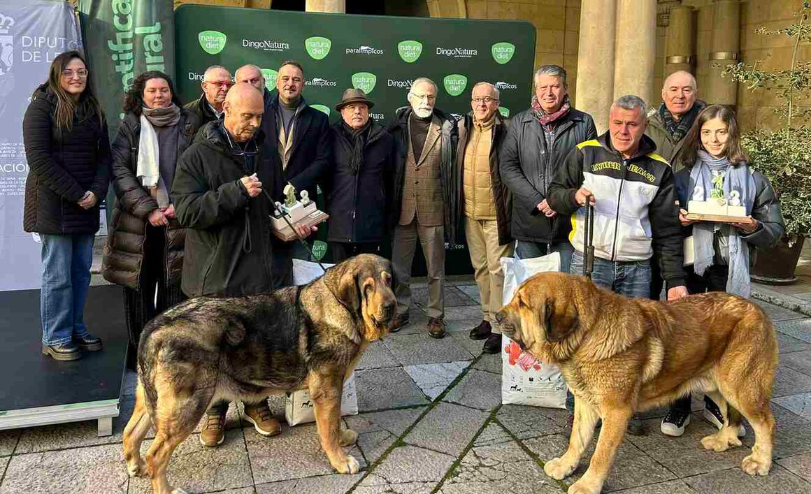 El Palacio de los Guzmanes ha acogido este sábado la entrega de premios del Campeonato de León para Mastín, organizado por la Sociedad Canina de León, en colaboración con la Diputación de León.