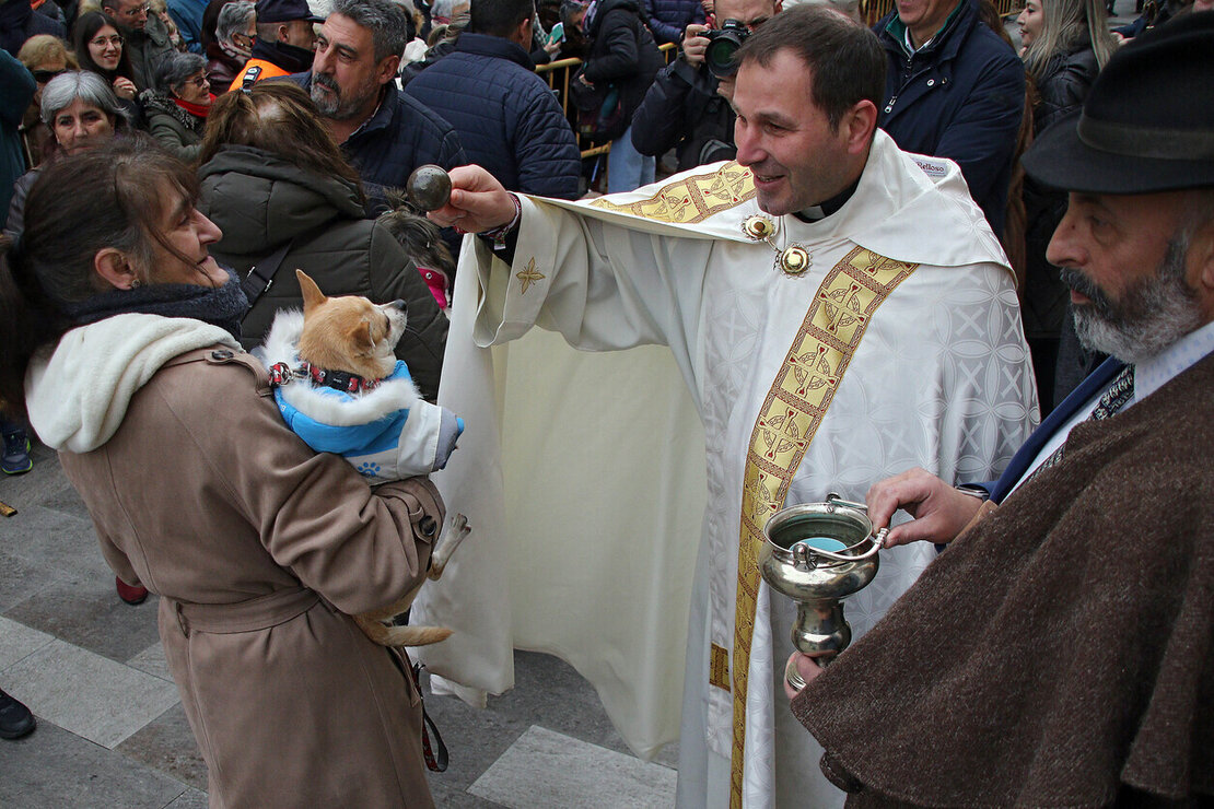 Los leoneses y sus mascotas se encomiendan a San Antón con la tradicional bendición en San Marcelo. El santo preside la eucaristía tras dar tres vueltas a la iglesia a hombros de la Cofradía del Santísimo Cristo de la Expiración y del Silencio. Fotos: Peio García