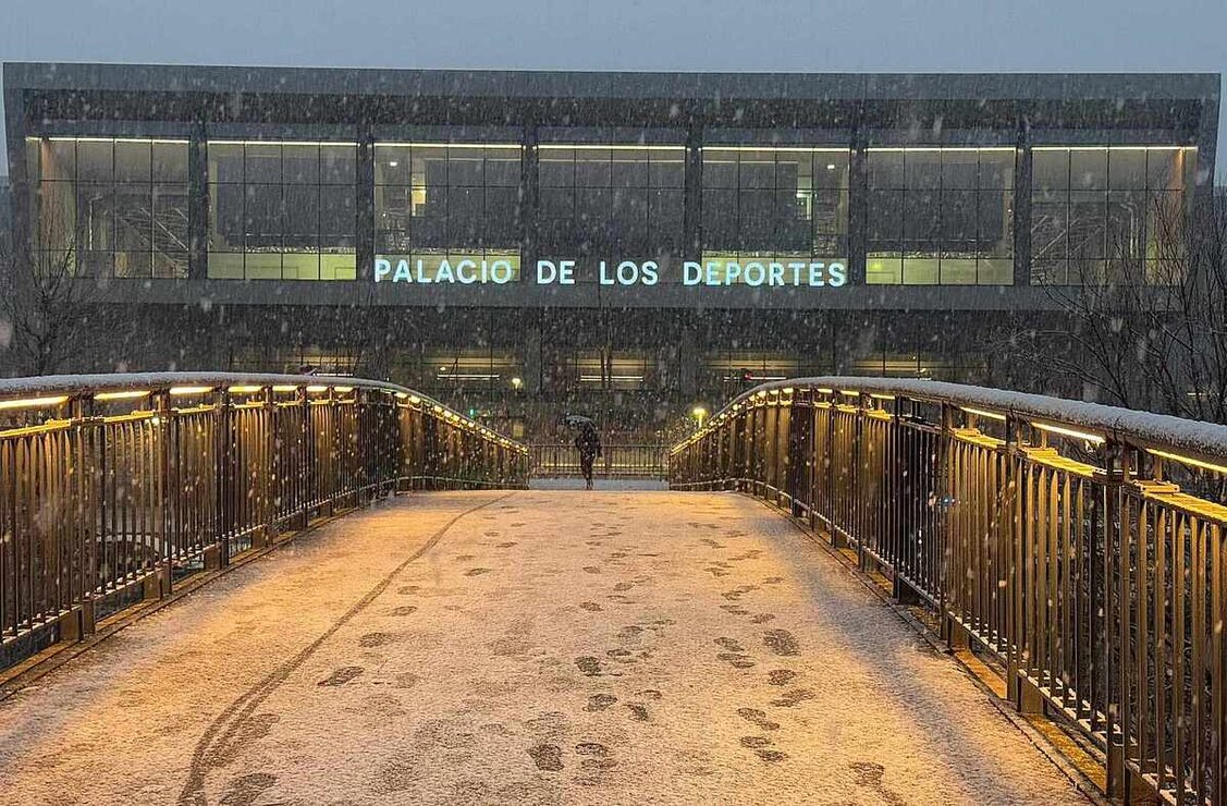 León nieve  (9)