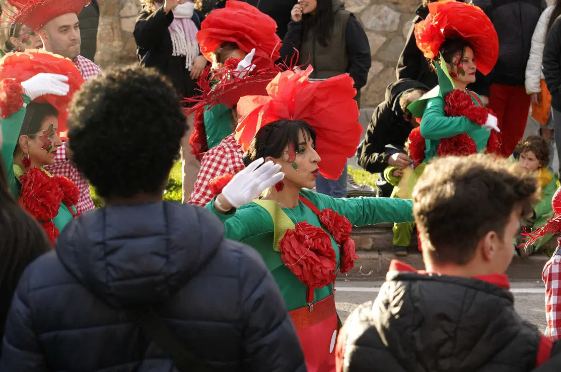 Carnaval Ponferrada (10)