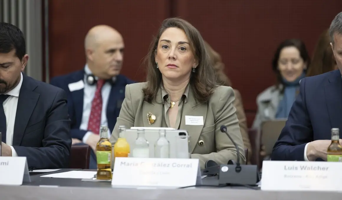 La consejera de Agricultura, Ganadería y Desarrollo Rural, María González Corral, en la reunión Agriregions en Bruselas.