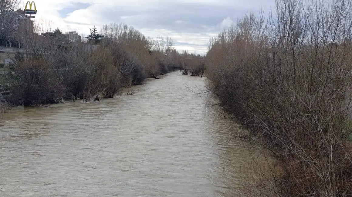 Río Bernesga a su paso por León.