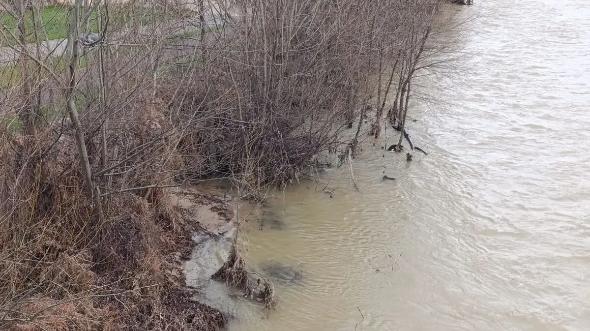 Río Bernesga a su paso por León.