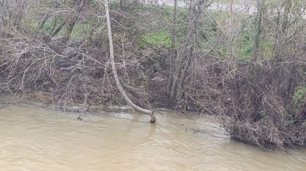 Río Bernesga a su paso por León.