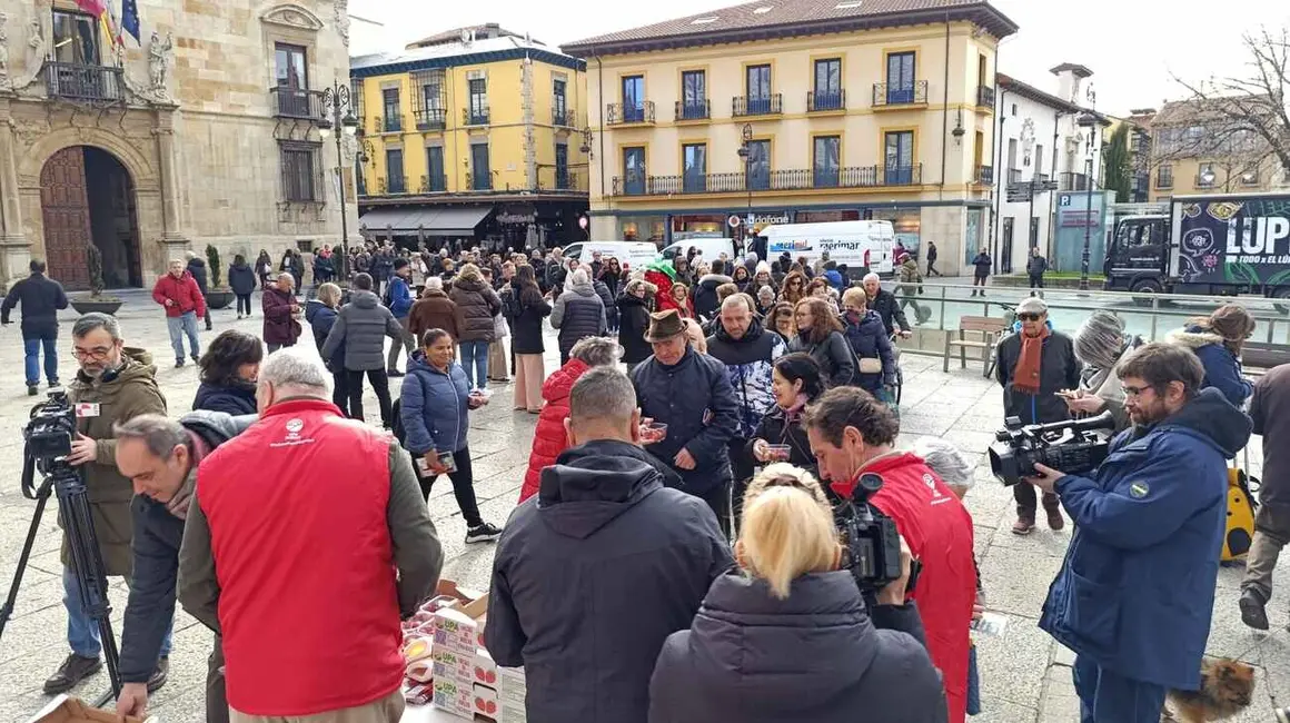 Reparto de fresas en León 11