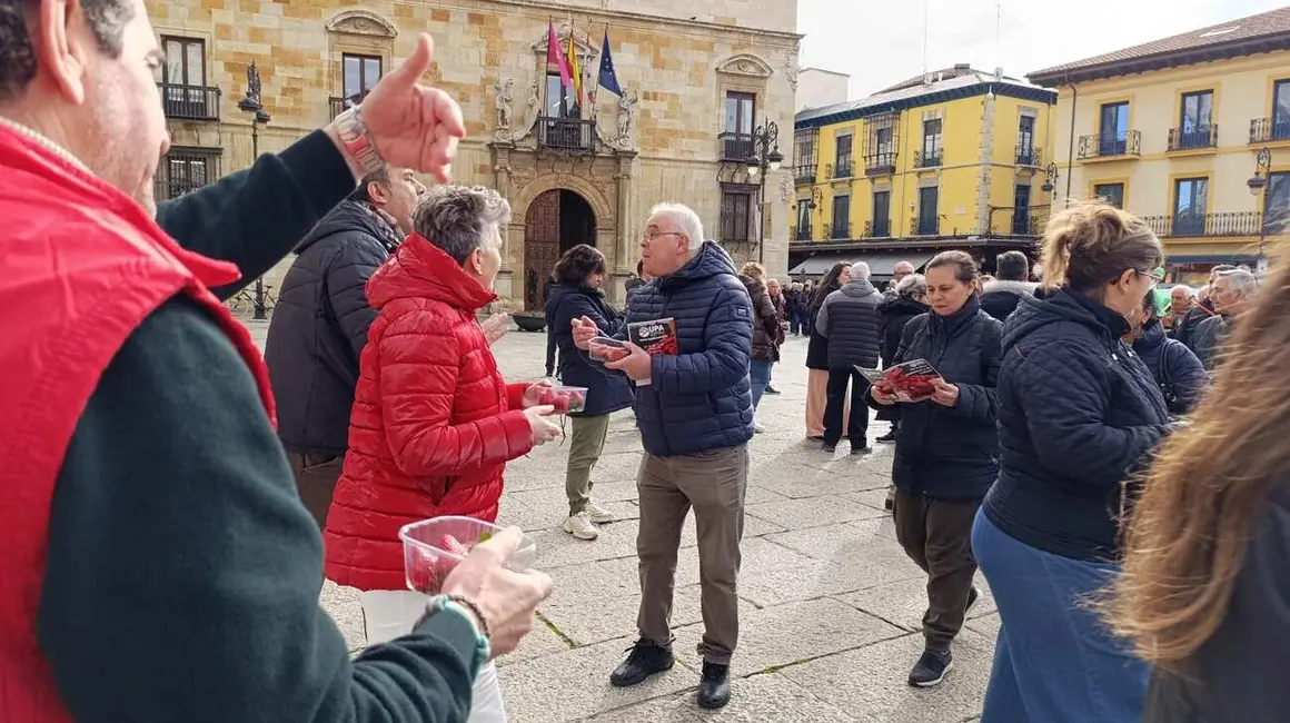 Reparto de fresas en León 13