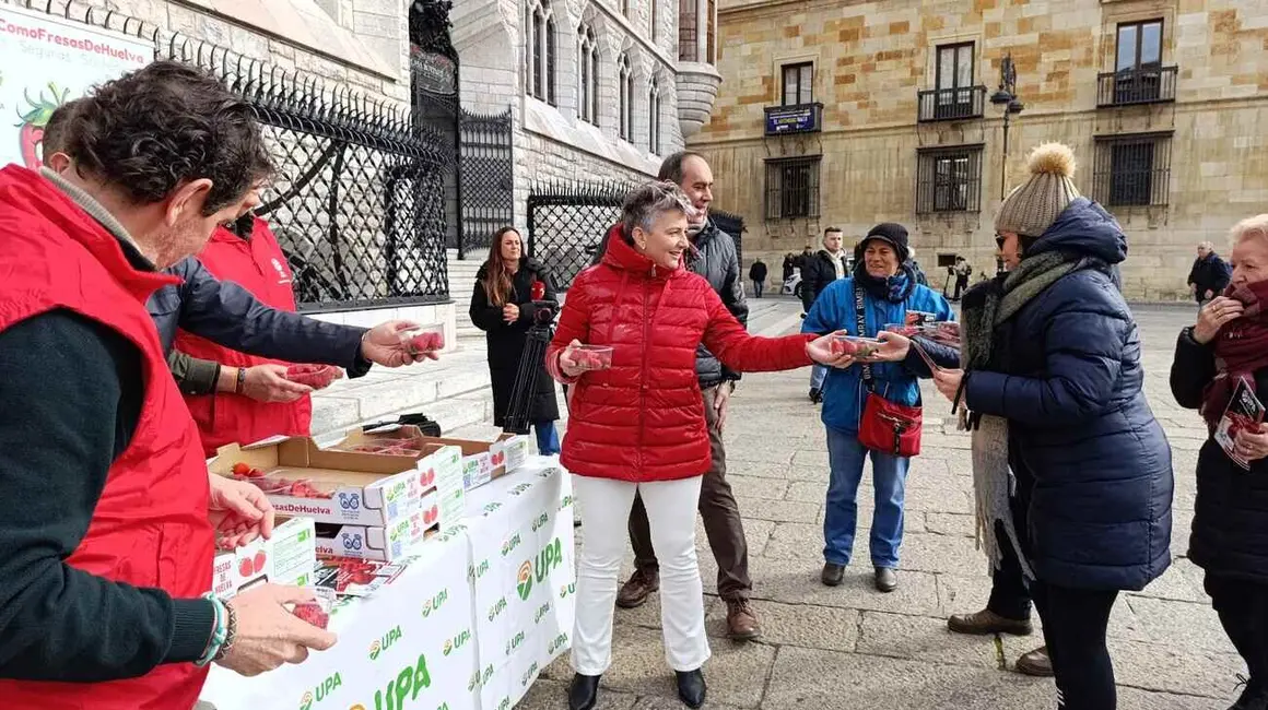 Reparto de fresas en León 24