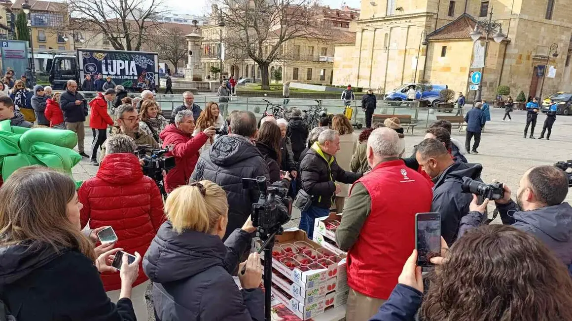 Reparto de fresas en León 121