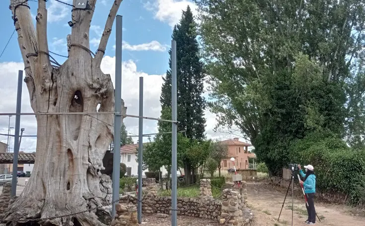 Iniciativa educativa ‘De la Naturaleza a la Tecnología: La Ingeniería Forestal en Acción’, organizada por la Escuela de Ingeniería Agraria y Forestal del campus de Ponferrada de la Universidad de León, a través del grupo de innovación docente Biersoft