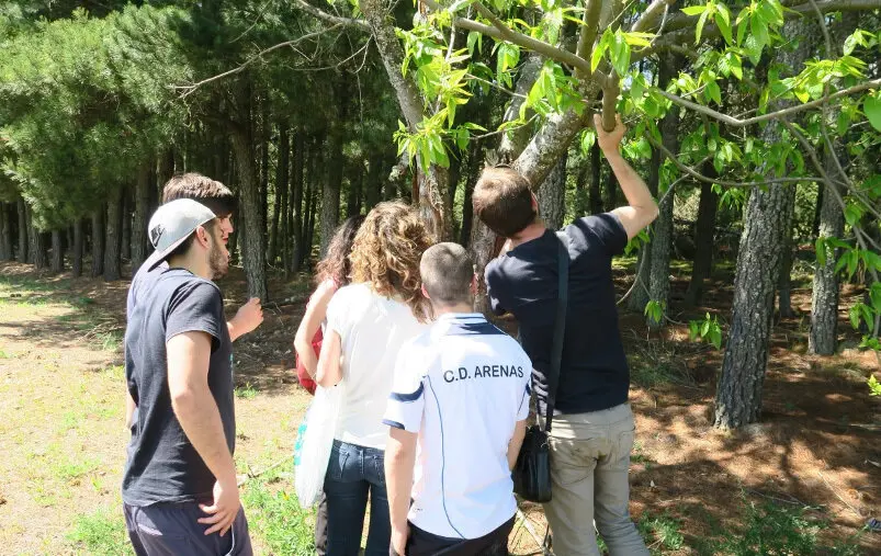 Iniciativa educativa ‘De la Naturaleza a la Tecnología: La Ingeniería Forestal en Acción’, organizada por la Escuela de Ingeniería Agraria y Forestal del campus de Ponferrada de la Universidad de León, a través del grupo de innovación docente Biersoft