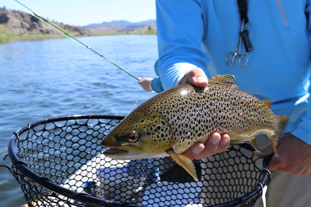 La pesca de truchas en la provincia ya tiene su calendario para la nueva temporada.