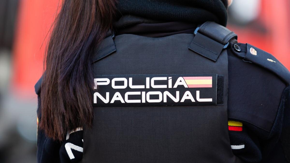 Efectivos de la Policia Nacional, durante una intervención.