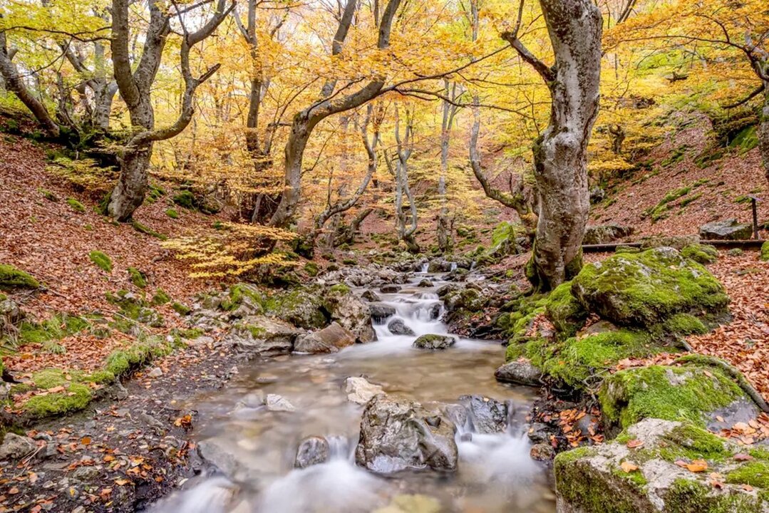 El Faedo de la localidad leonesa de Ciñera de Gordón, en el municipio de La Pola de Gordón, inaugurará este sábado, 16 de noviembre, un nuevo recorrido circular que ofrecerá a los cerca de 30.000 visitantes anuales un itinerario diferente.