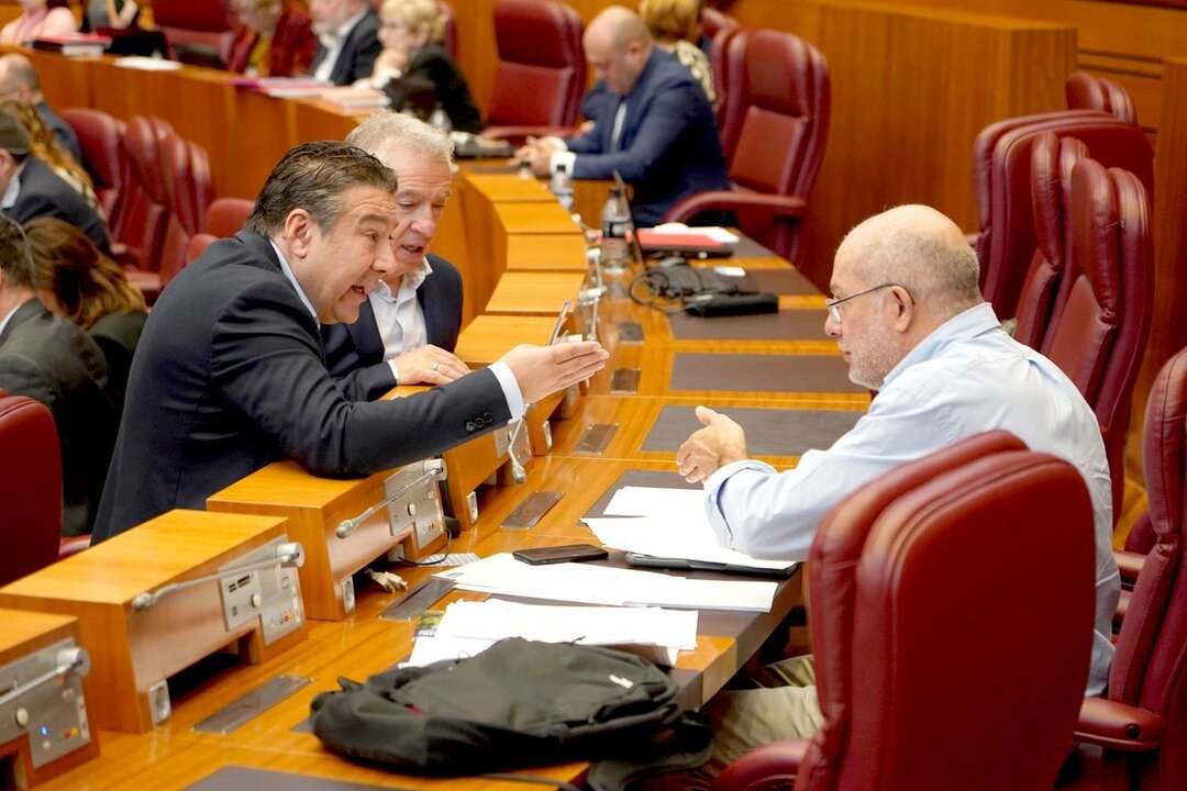 Pleno de las Cortes de Castilla y León. En la imagen, Luis Mariano Santos conversa con Francisco Igea.