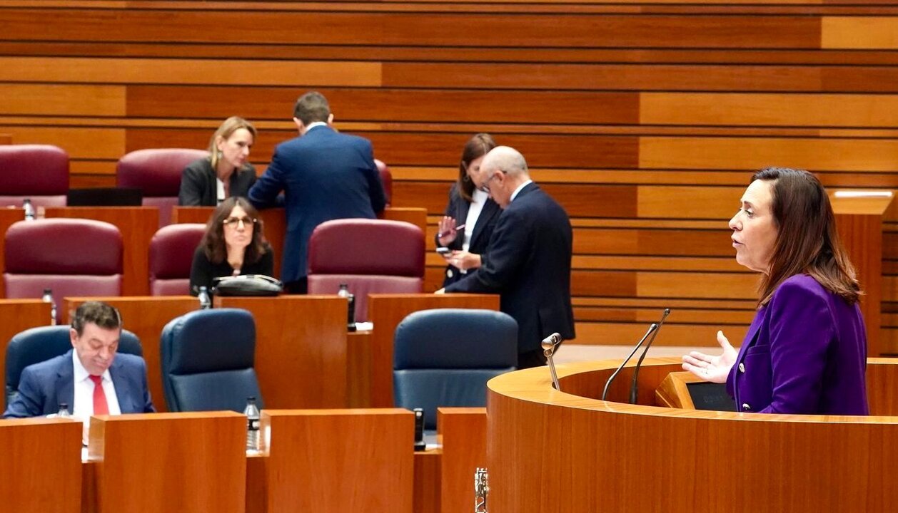 Ana Rubio, durante su intervención en el pleno de las Cortes.