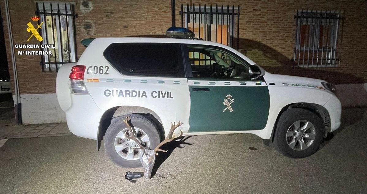 Localizan una cabeza de venado sin precinto en el interior de un maletero durante un control de la Guardia Civil.