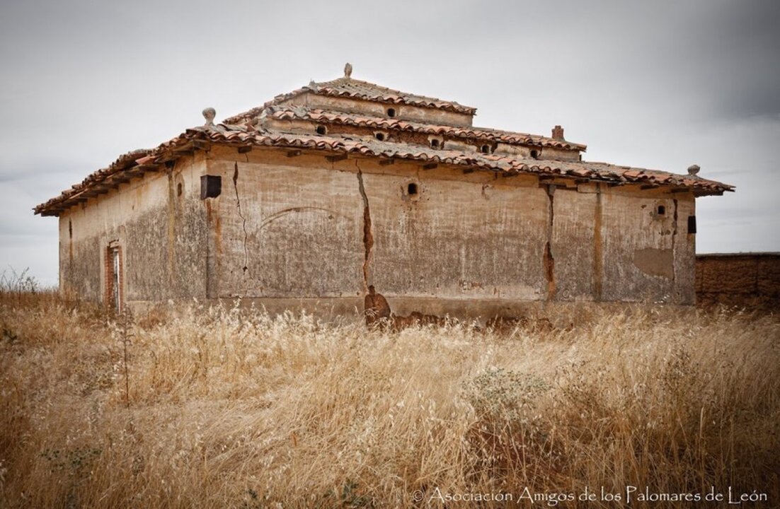 Imagen de un palomar tradicional visiblemente deteriorado. Foto: Asociación Leonesa de Palomares