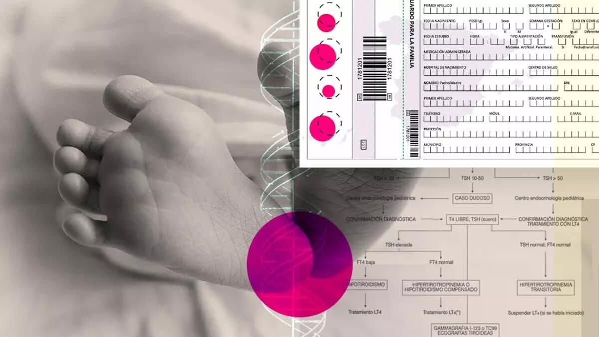 La Consejería de Sanidad incorporará a lo largo del primer semestre del próximo año 2025, las cuatro nuevas pruebas del Programa de detección precoz de enfermedades congénitas del recién nacido, la conocida prueba del talón.