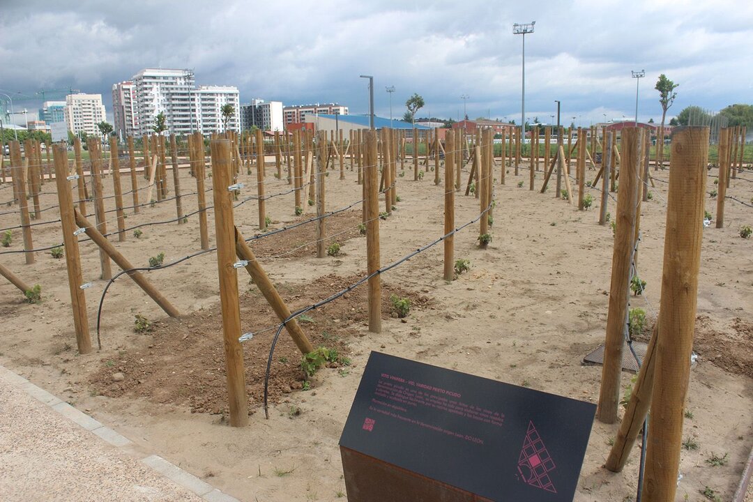 Imagen de una de las zonas del parque que es utilizado al mismo tiempo como aula didáctica.