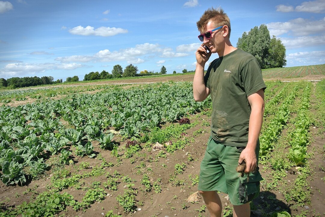 El Área de Desarrollo Rural de la Diputación de León convoca la línea de ayudas destinada a que los agricultores de la provincia puedan realizar, a lo largo de 2025, análisis de sus tierras.