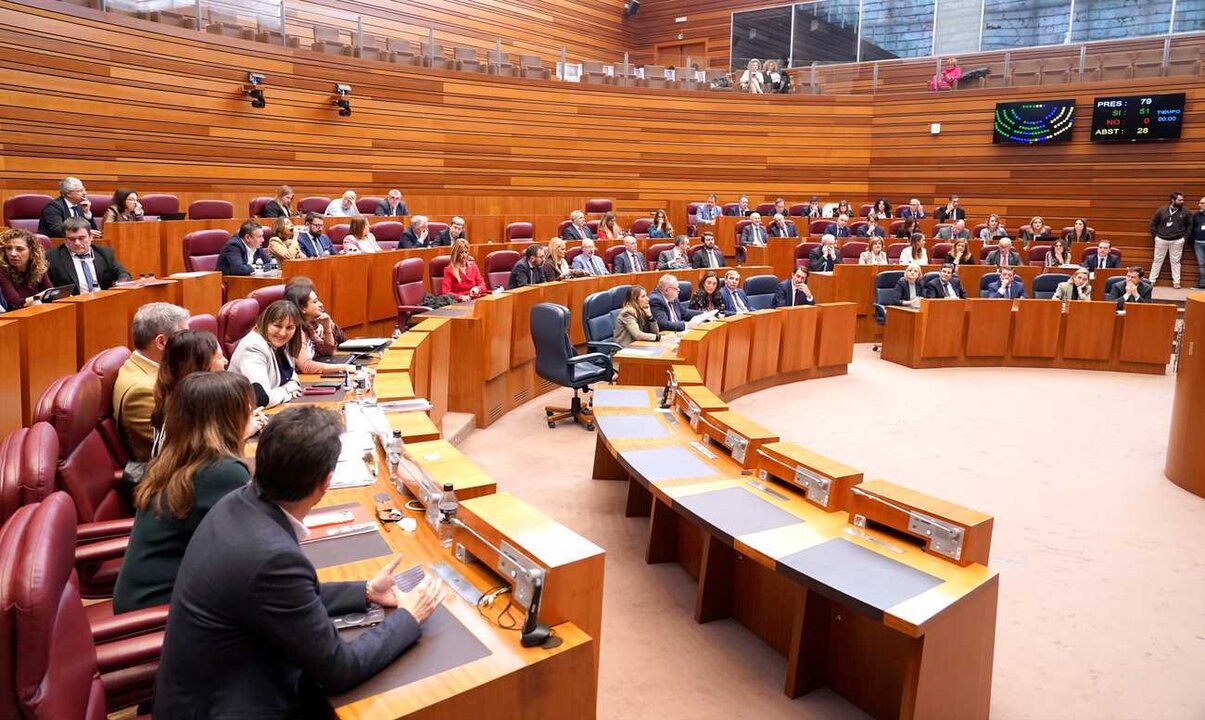 Votación en la segunda sesión del pleno de las Cortes de Castilla y León.