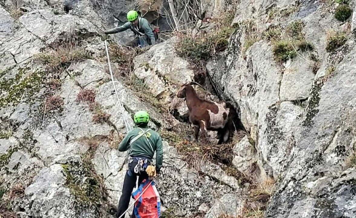 El rescate se realizó montando sistemas de descenso en rapel de unos 30 metros, para ello le colocaron un arnés.