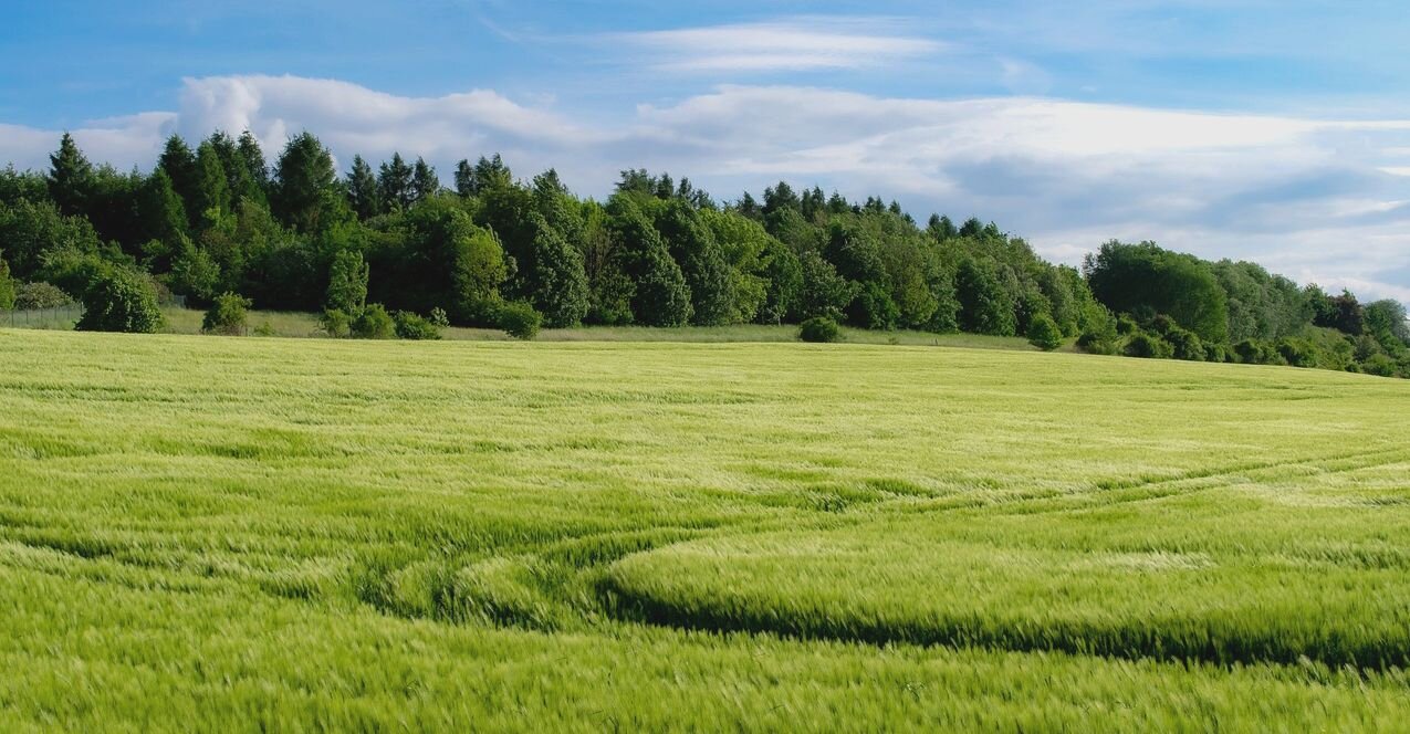 El sector agrario leonés pierde cada año explotaciones