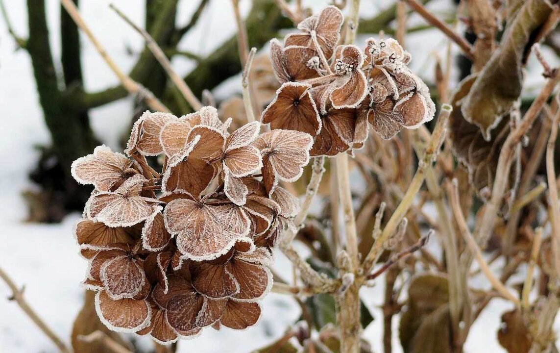 El crudo invierno llegará a partir de este domingo en muchas zonas de España debido a una masa de aire frío procedente del interior del continente europeo.