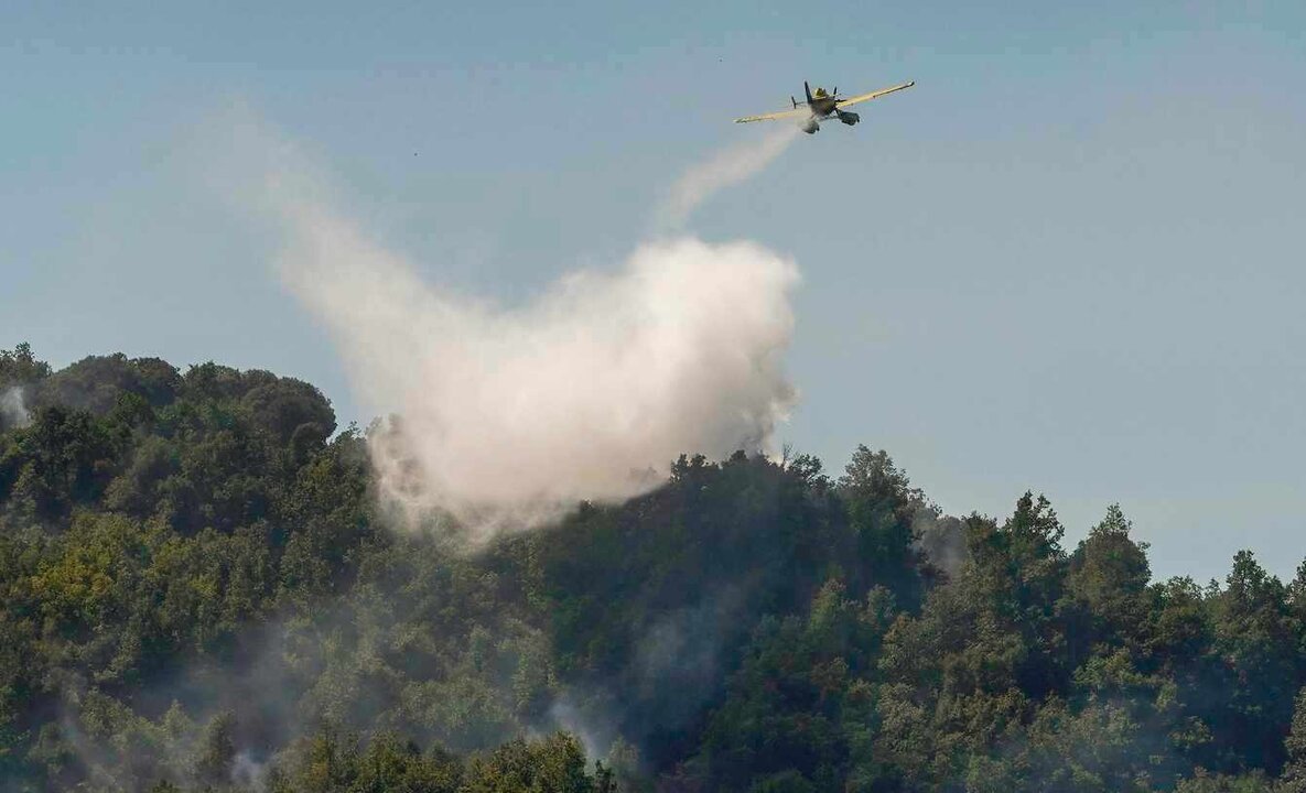 Incendio entre las localidades de Tremor de Abajo y Almagarinos.