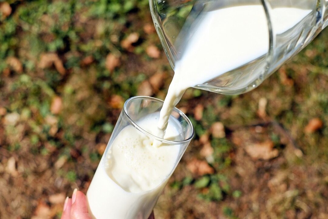 Una empresa láctea leonesa comenzará la recogida de la leche de los cinco ganaderos de los municipios de Cabrillanes, Murias de Paredes y San Emiliano.