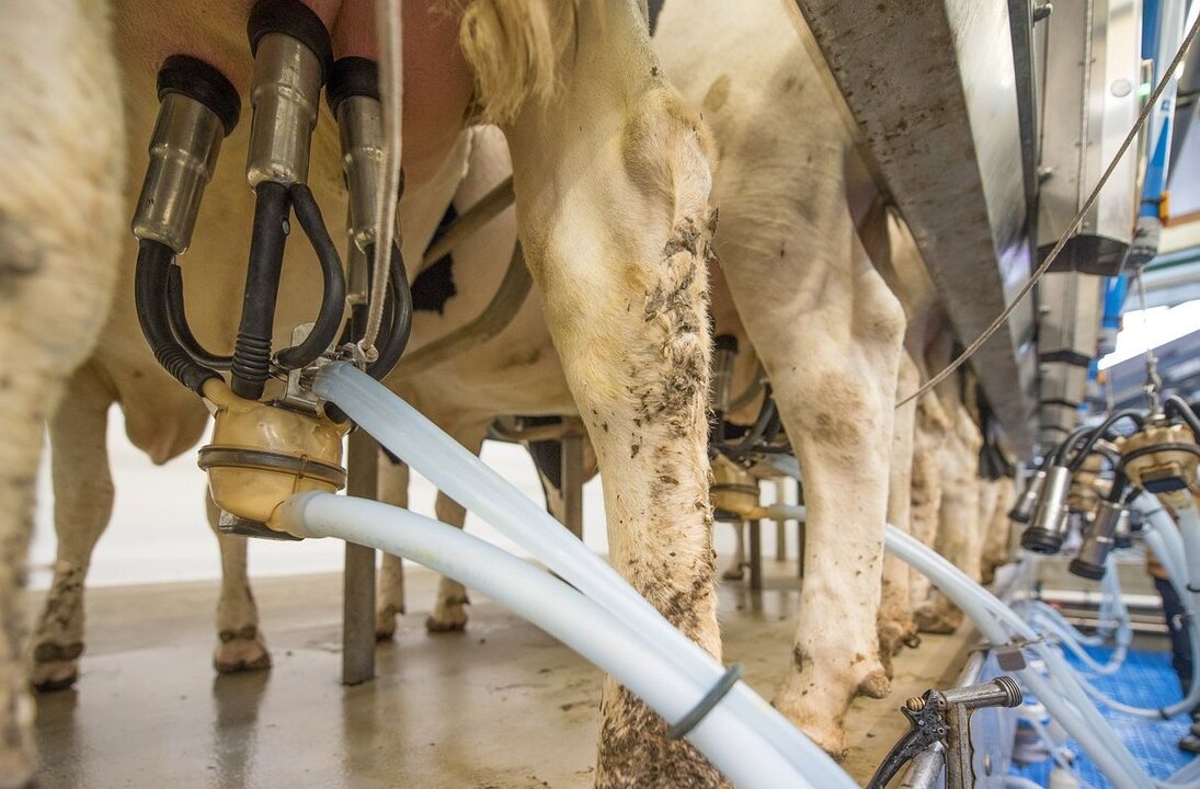 La Asociación de Jóvenes Agricultores de León denuncia  el acuerdo alcanzado por la Junta de Castilla y León con la empresa Lácteas San Vicente.