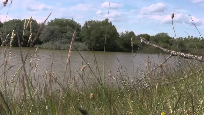 La CHD activa el aviso rojo por la crecida del río Cea a su paso por Villaverde de Arcayos (León).