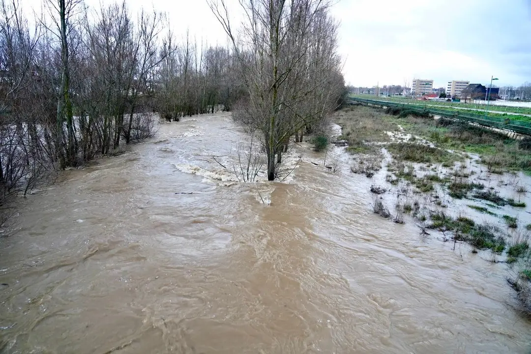 Crecida de los ríos Torío y Bernesga a su paso por León. Fotos: Campillo.