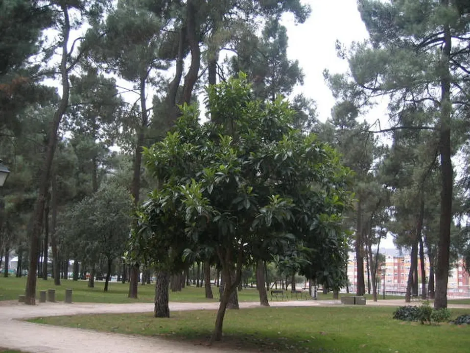 Parque del Temple, Ponferrada.