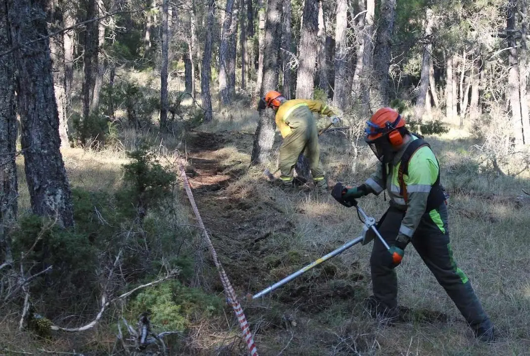 Actuaciones de corta y desbroce para prevenir incendios forestales.