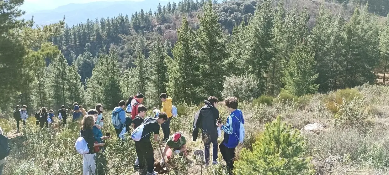 Continúa la reforestación del Monte Pajariel con la ayuda del I.E.S. Gil y Carrasco.