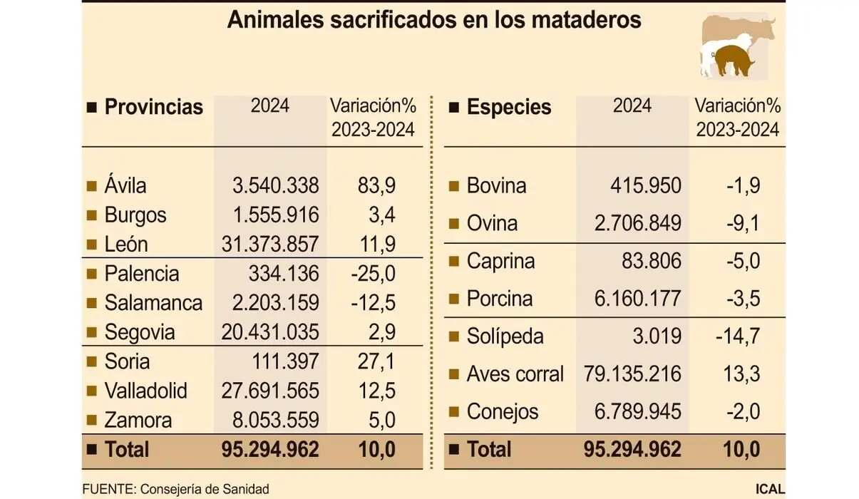 Animales sacrificados en los mataderos de Castilla y León en 2024.