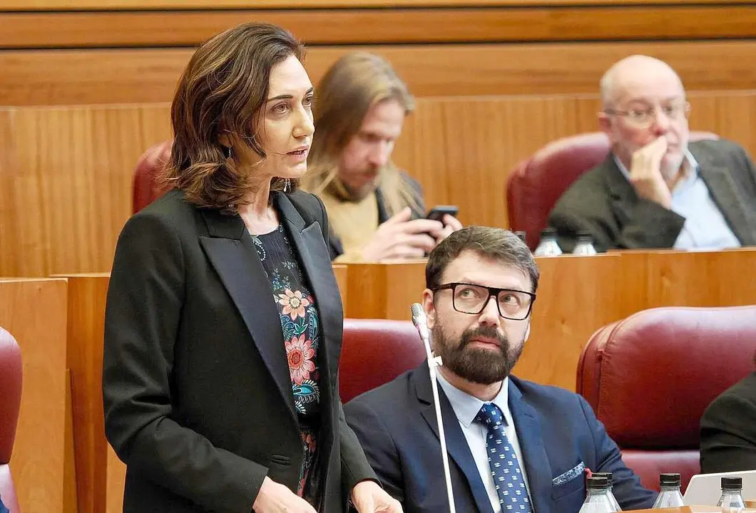 Alicia Gallego, durante su intervención en el pleno de las Cortes.