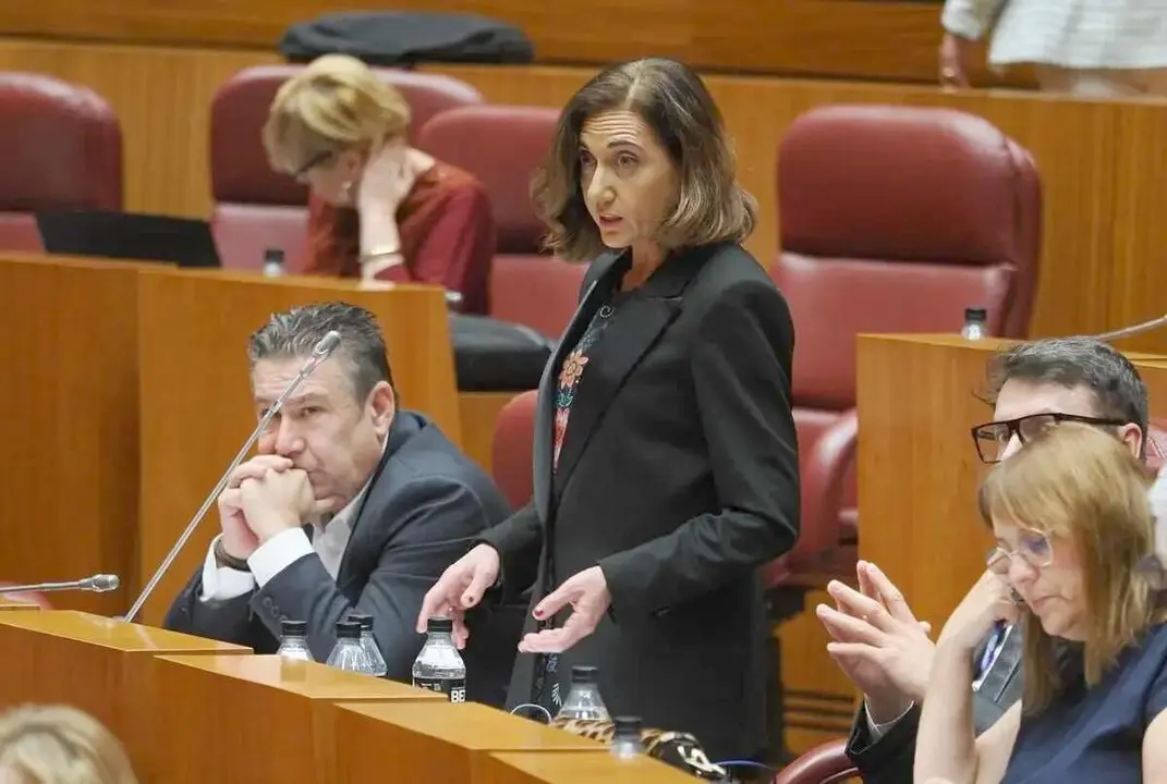 La procuradora de UPL, Alicia Gallego, durante una comparecencia en las Cortes.