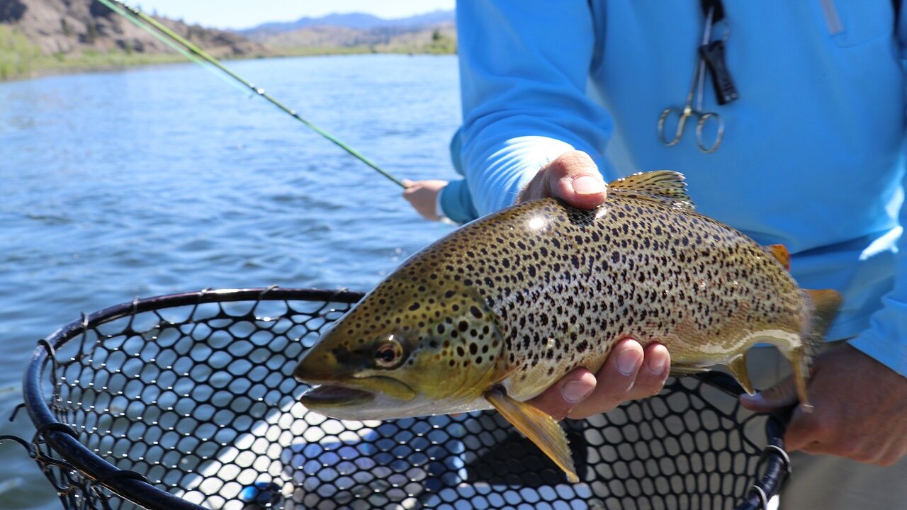 La pesca de truchas en la provincia ya tiene su calendario para la nueva temporada.