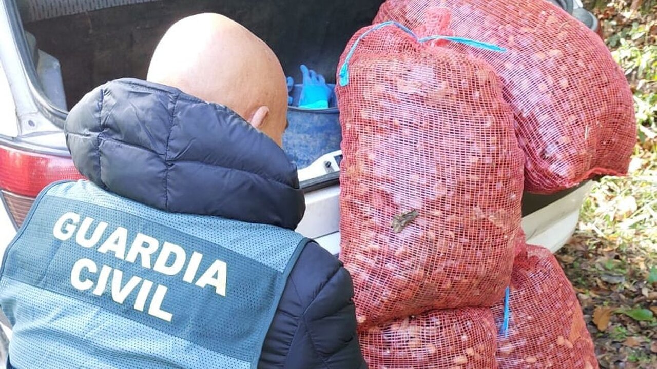 Guardia Civil lcastañas