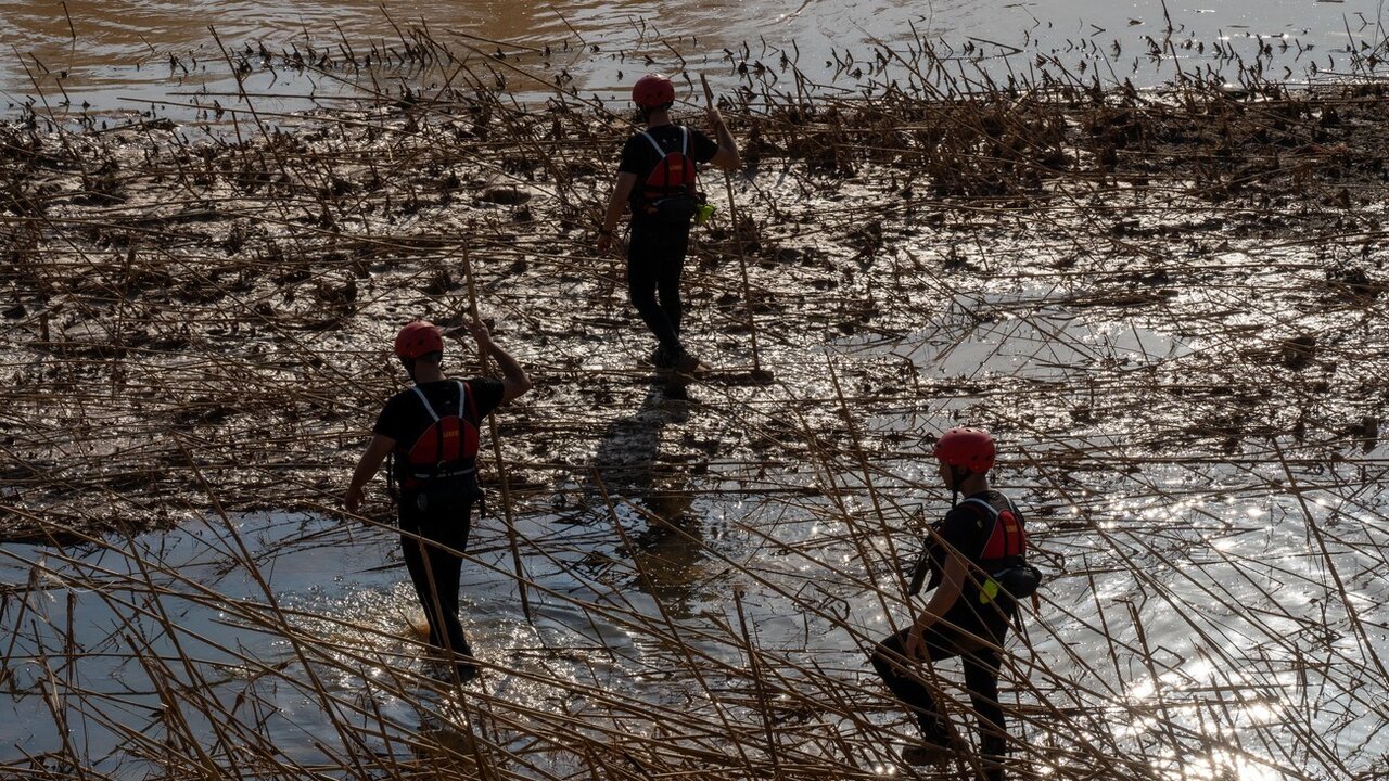 El V batallón de la UME con sede en León, rastrea la Albufera en la localidad de Masanasa en busca de desaparecidos. Fotos: Eduardo Margareto