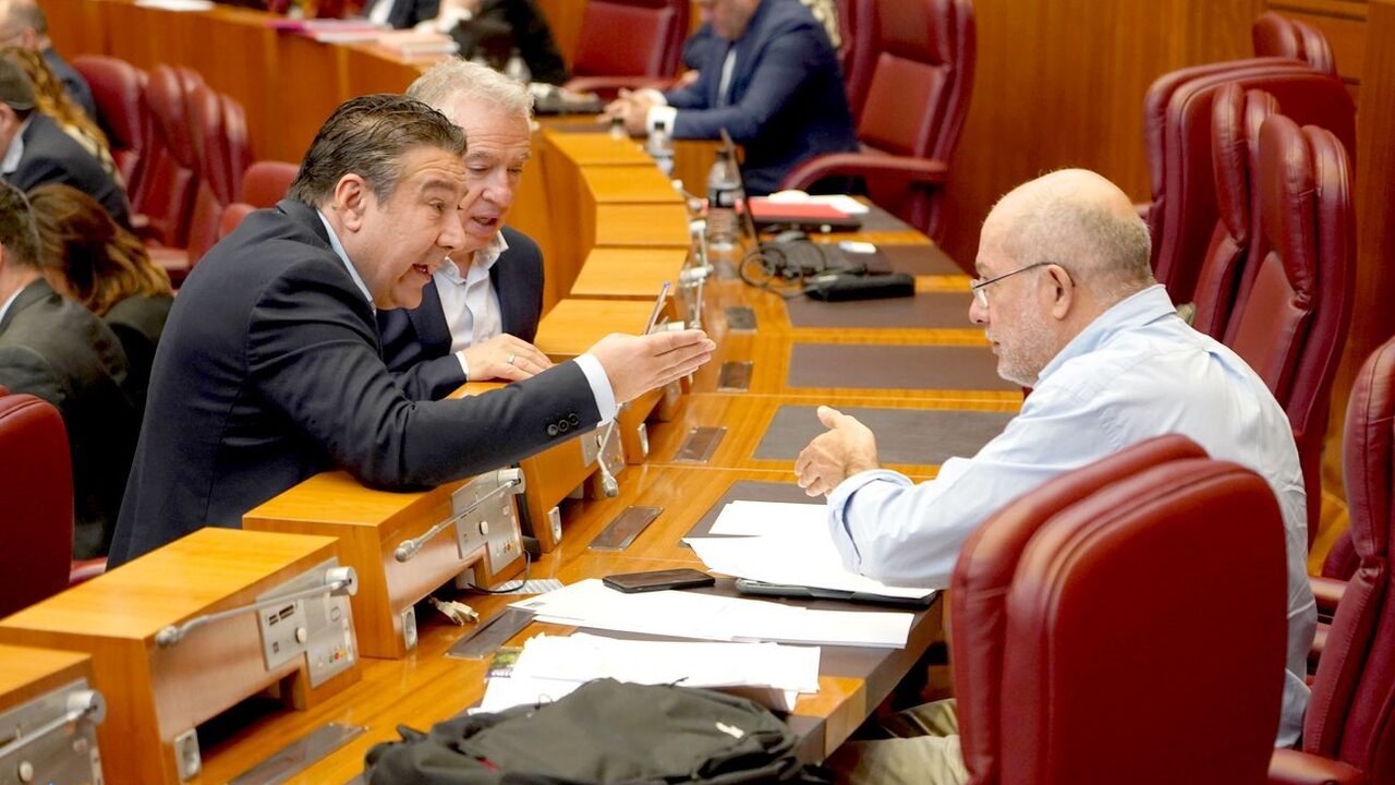 Pleno de las Cortes de Castilla y León. En la imagen, Luis Mariano Santos conversa con Francisco Igea.