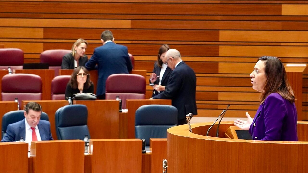 Ana Rubio, durante su intervención en el pleno de las Cortes.