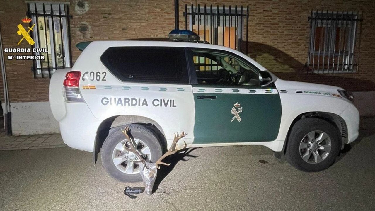 Localizan una cabeza de venado sin precinto en el interior de un maletero durante un control de la Guardia Civil.