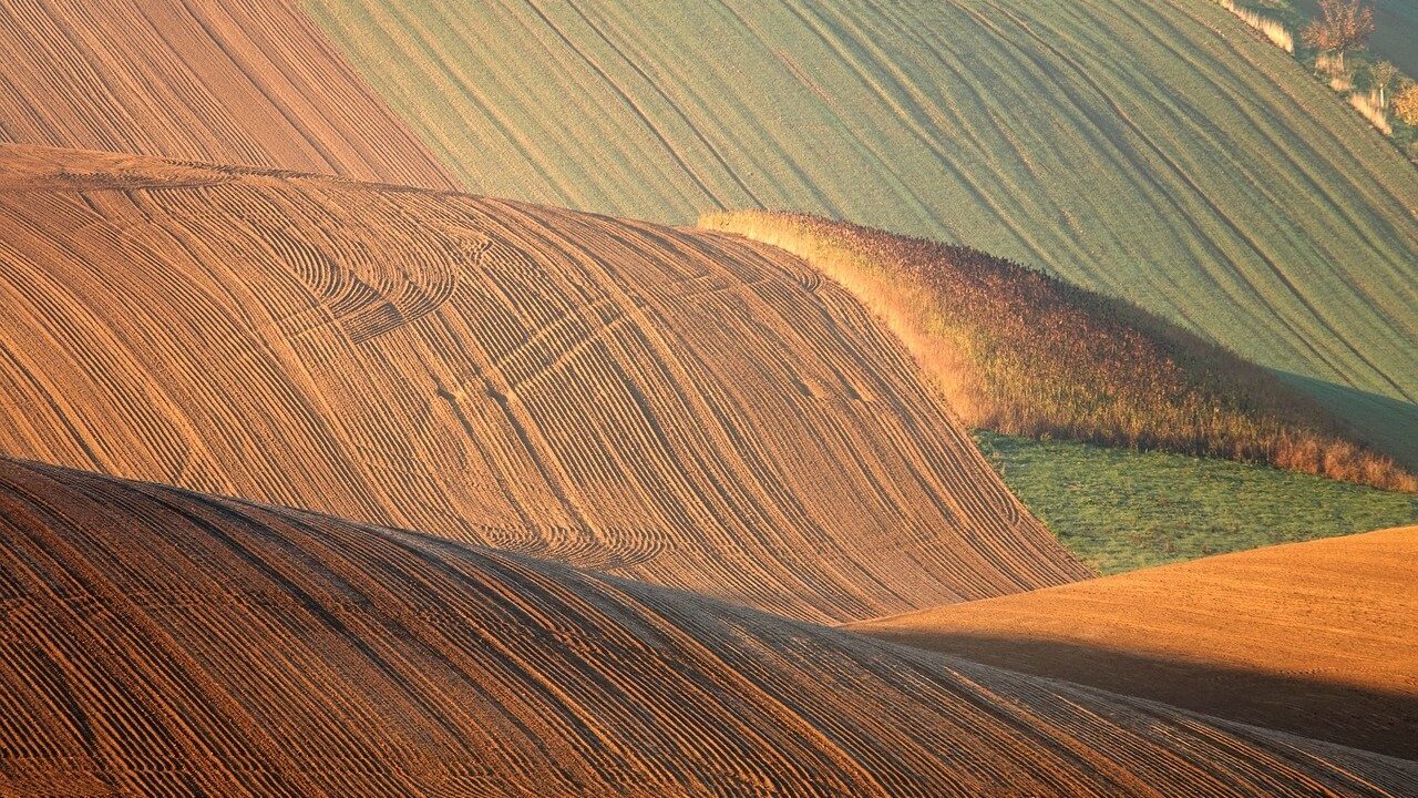 La Asociación de Jóvenes Agricultores, Asaja, de León advirtió este martes que “los elevados costes de producción y los bajos precios del grano y las escasas expectativas de obtener una rentabilidad” está provocando que “se dejen de sembrar fincas de secano que habitualmente se destinaban a cereal”.