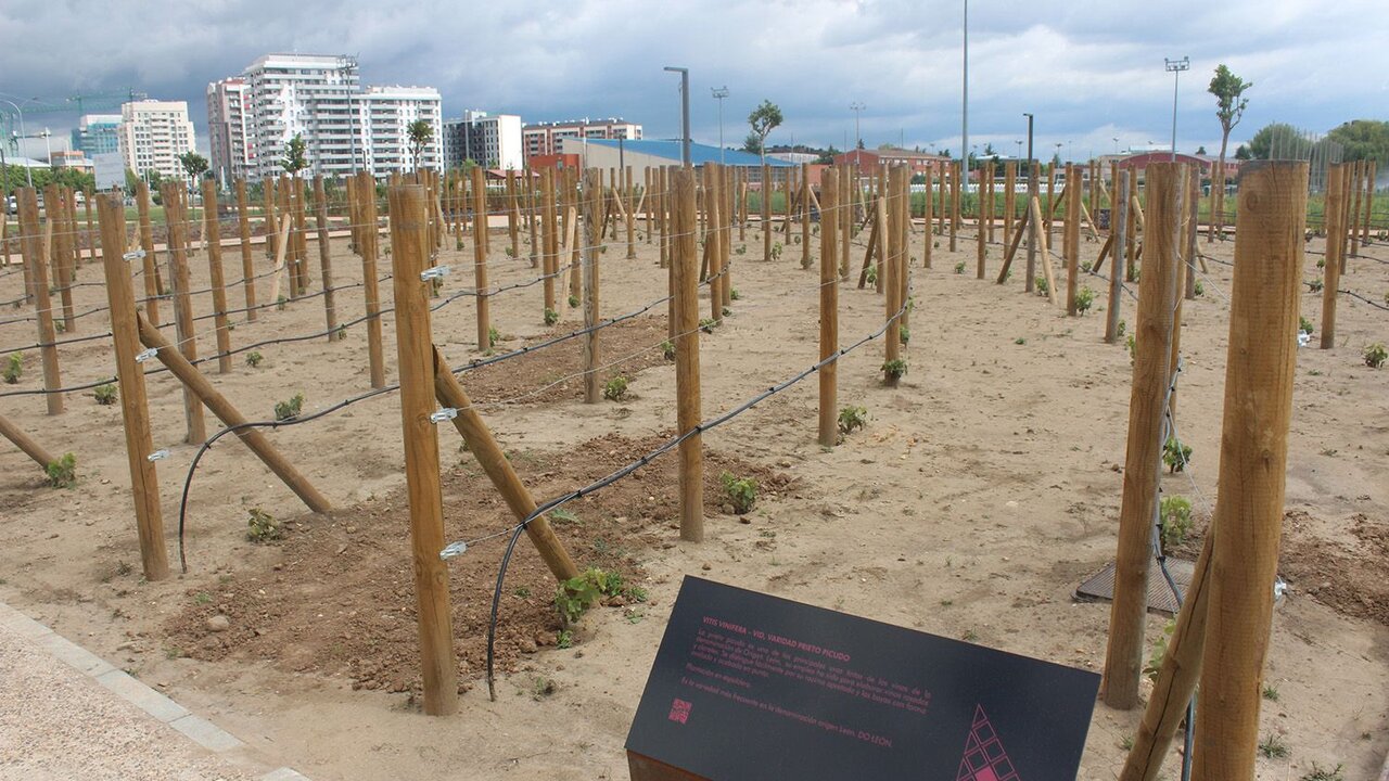 Imagen de una de las zonas del parque que es utilizado al mismo tiempo como aula didáctica.